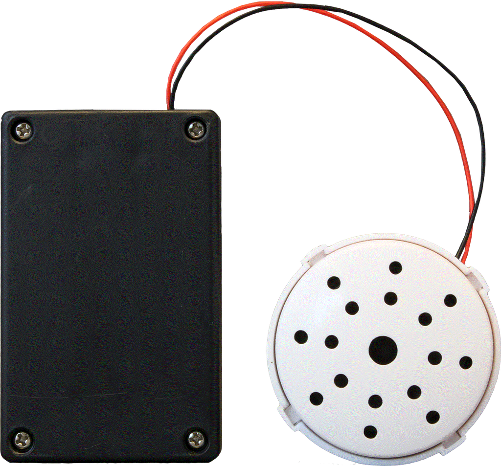 Bliss 60 Sec Recording Module White Case (BRM1M), photo 3