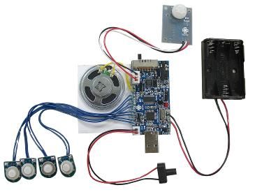 300 Second USB Recording Module w/Light Sensor & PIR for Motion Activation