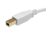 USB 2.0 A Male to B Male 28/24AWG Cable - (Gold Plated) - WHITE, 3ft