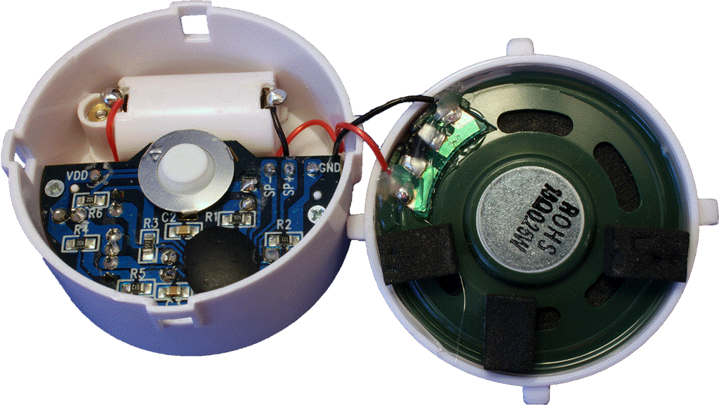 Bliss 30 Sec Recording Module White Case (BRM14M), photo 5