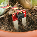 SparkFun Soil Moisture Sensor