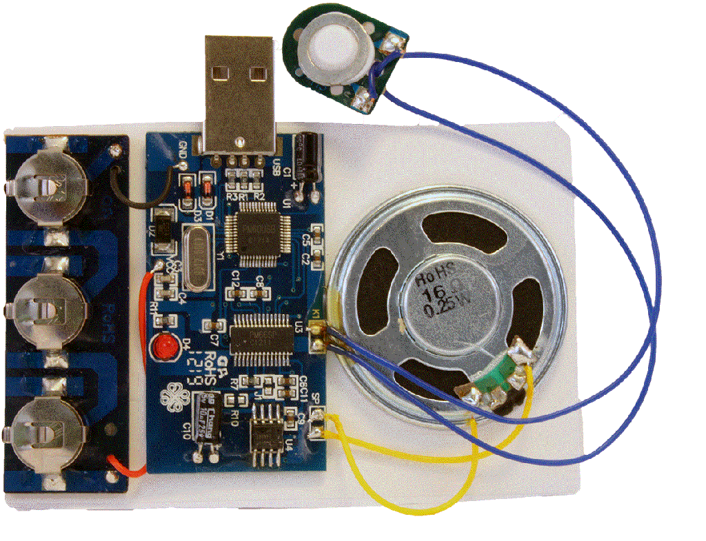 Bliss 75 Second USB Recording Module (USB2MV2), photo 2