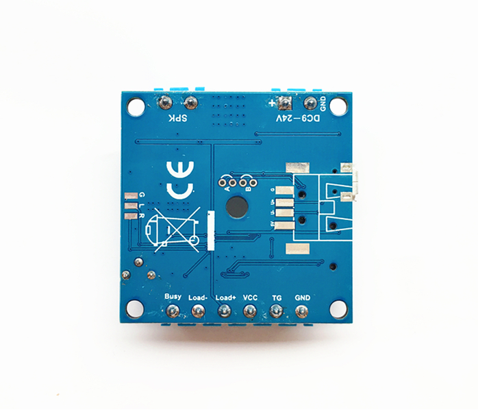 PIR, Power connector, POT and Motion Sensor MP3 Player Module with Load Output 