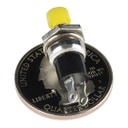 Momentary Button - Panel Mount (Yellow)