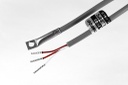 RTD Temperature probe with screw fixing