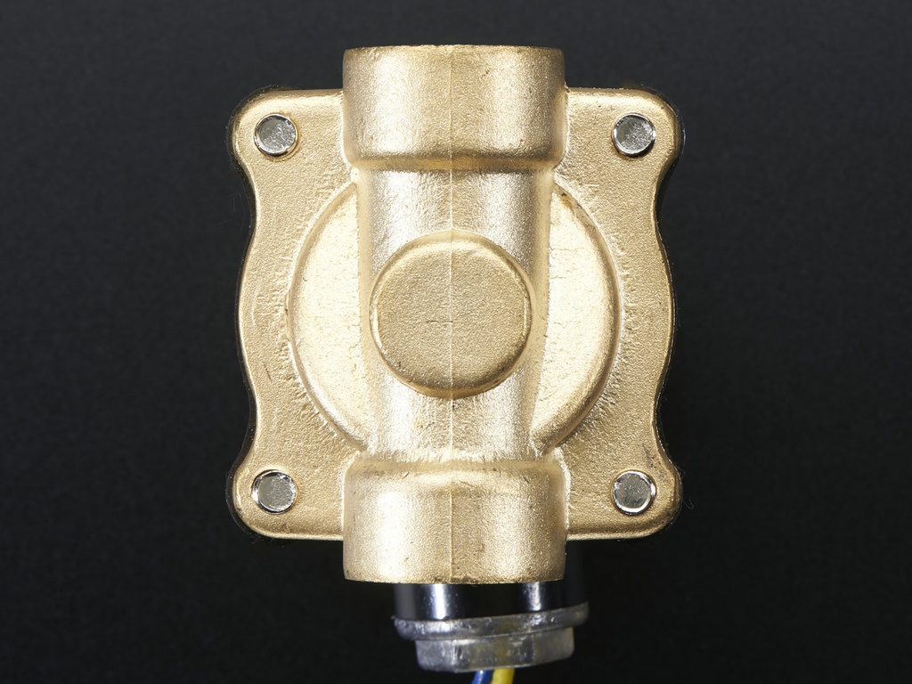 Brass Liquid Solenoid Valve - 12V - 1/2 NPS