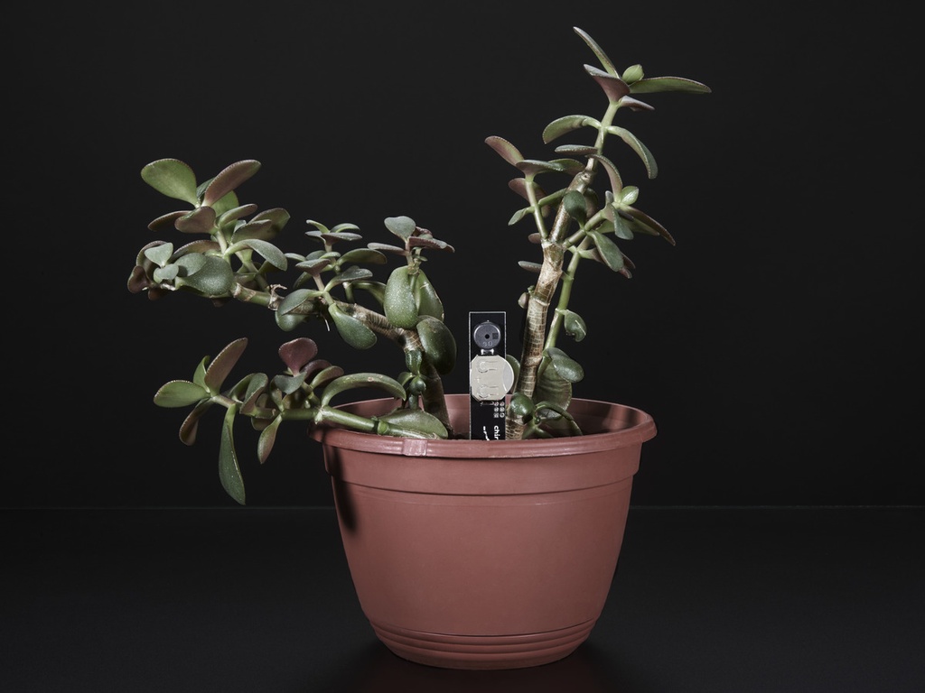 Chirp! The Plant Watering Alarm