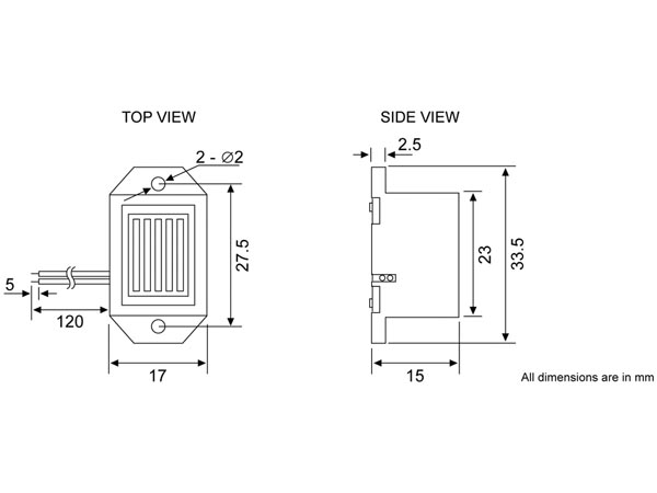 MECHANICAL BUZZER / LEADS