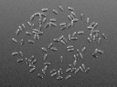 Adafruit 1N4148 SOD-123 Diodes 100pk (ADA-5099), photo 3