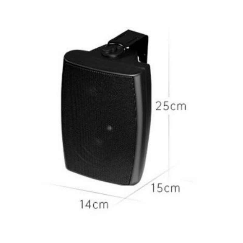 HiFi Wall Mounted Speaker with Mounting Brackets