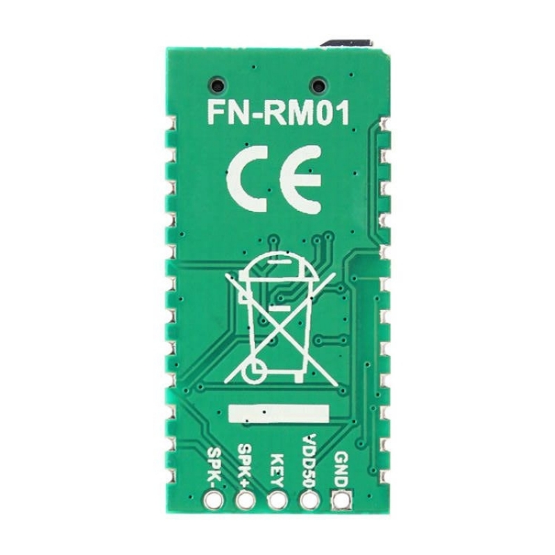 Flyron FN-RM01 MP3 Recorder Player Module (FN-RM01), photo 2