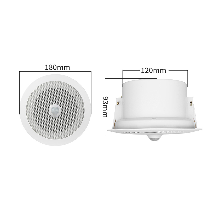 Overhead PIR Motion Sensor Activated Audio Player