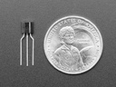 NPN Bipolar Transistors (PN2222) - 10 pack