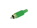 [CA047G] Phono (RCA) Plug - Green