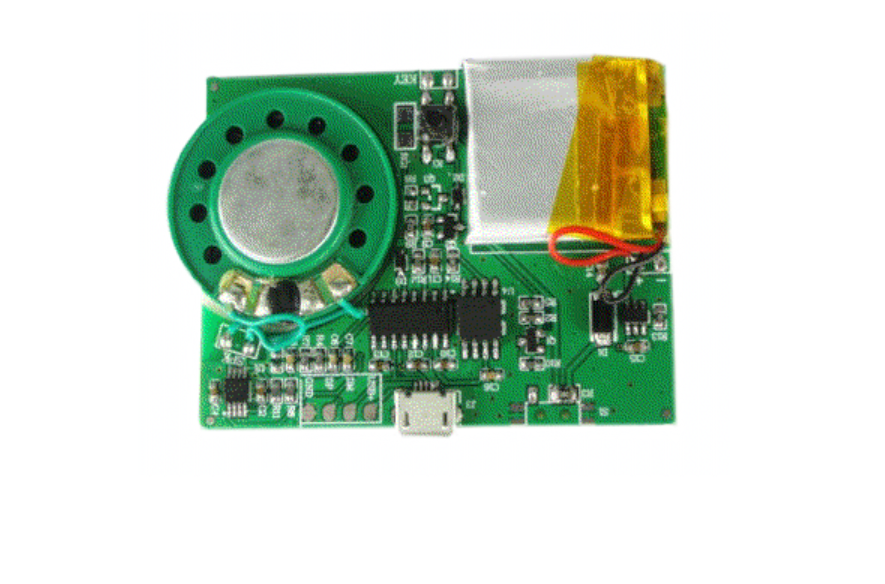 Greeting Card Sound Module Activated by Button