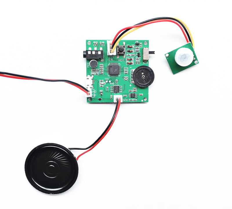 PIR Motion  Activated Audio Playback Module (Record Message with Line-in or Microphone)