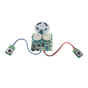 [FN-MYH16] 120 Seconds Recording Module w/ Microphone or Line in Recording