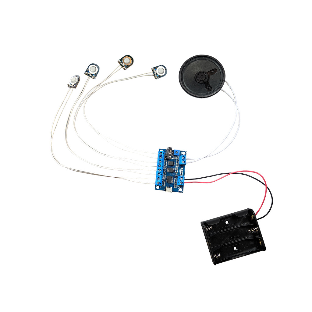 USB Recording Module (Multi Sound Files per Button) with Buttons, Speaker and Battery Box