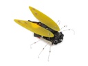Electronic Cicada