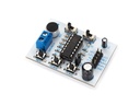 Electronic module, for recording and playing back 20 seconds of audio with flash memory