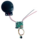 PIR Motion Sensor Activated Audio Player for POP Displays/Point of Sale/Statues/Artwork With BLACK PIR Sensor