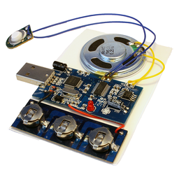 [USB2MV2] 75 Second USB Recording Module (Windows)