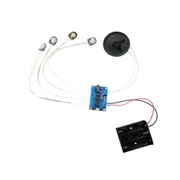 [FN-T418-Kit] USB Recording Module (Multi Sound Files per Button) with Buttons, Speaker and Battery Box