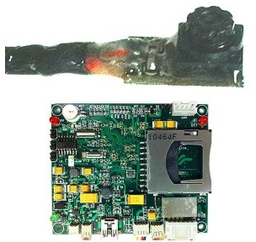 [MuC303-C6203] MuC303-C6203 Combo Camera Module